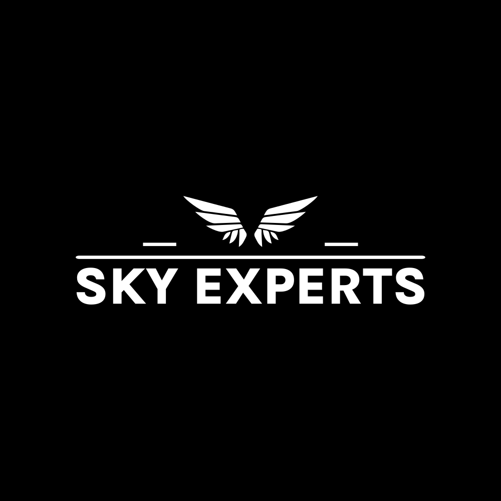 SkyExperts Logo